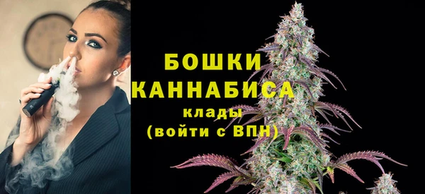 Альфа ПВП Верея
